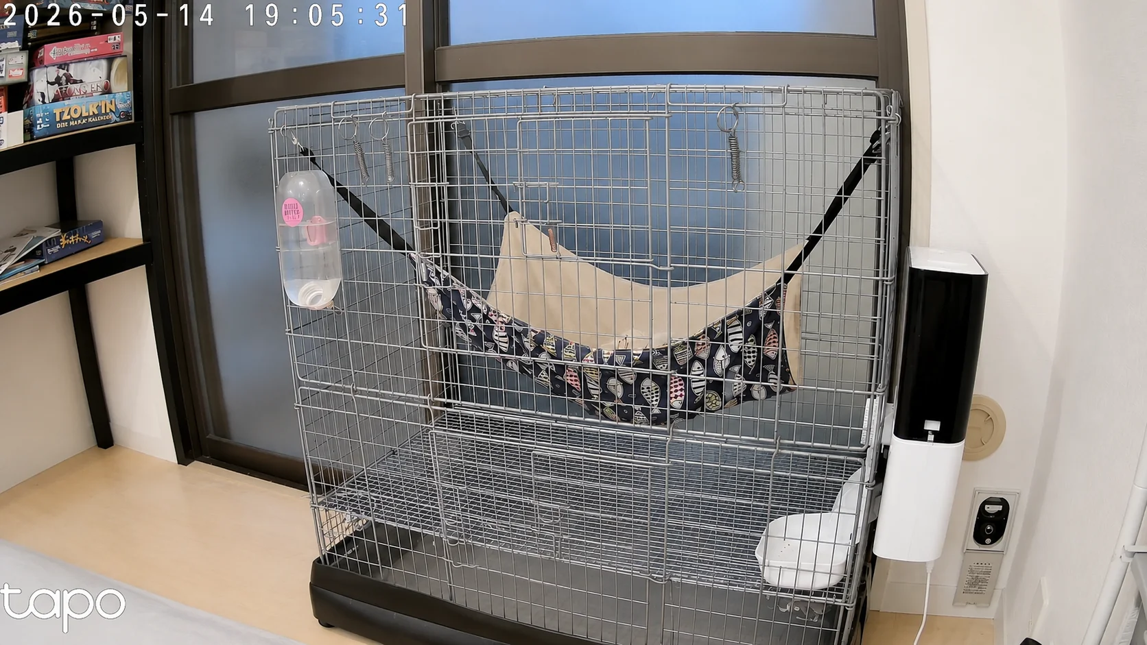 夕方、2頭ハンモックに集合
