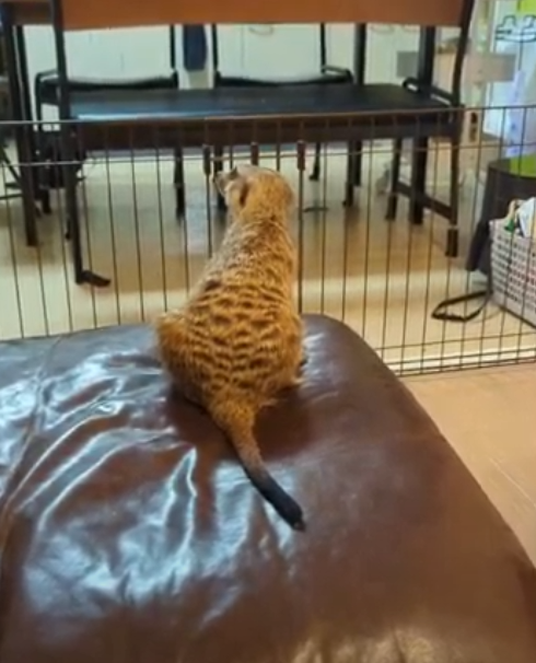 スナップ①